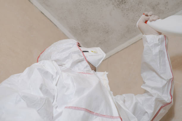 Best Crawl Space Mold Removal  in Bozeman, MT