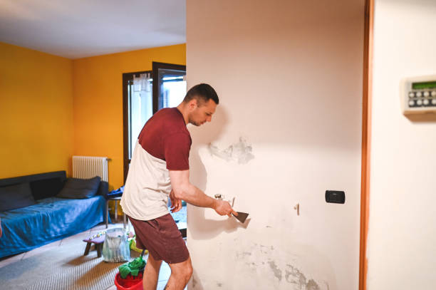 Mold Removal Process in Bozeman, MT